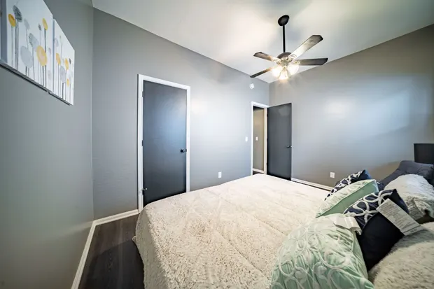 Bedroom with two dark closet doors, a ceiling fan, and grey walls.