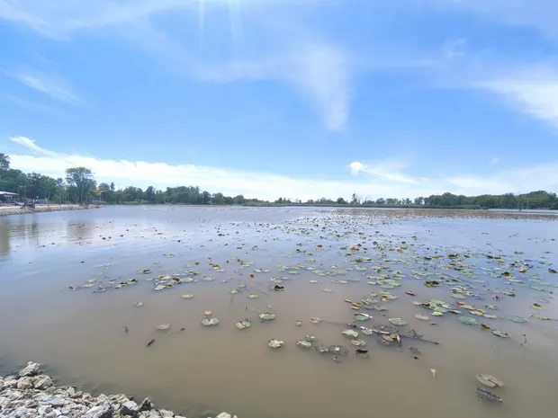 Wide view of the calm Sandusky River under a bright blue sky.
