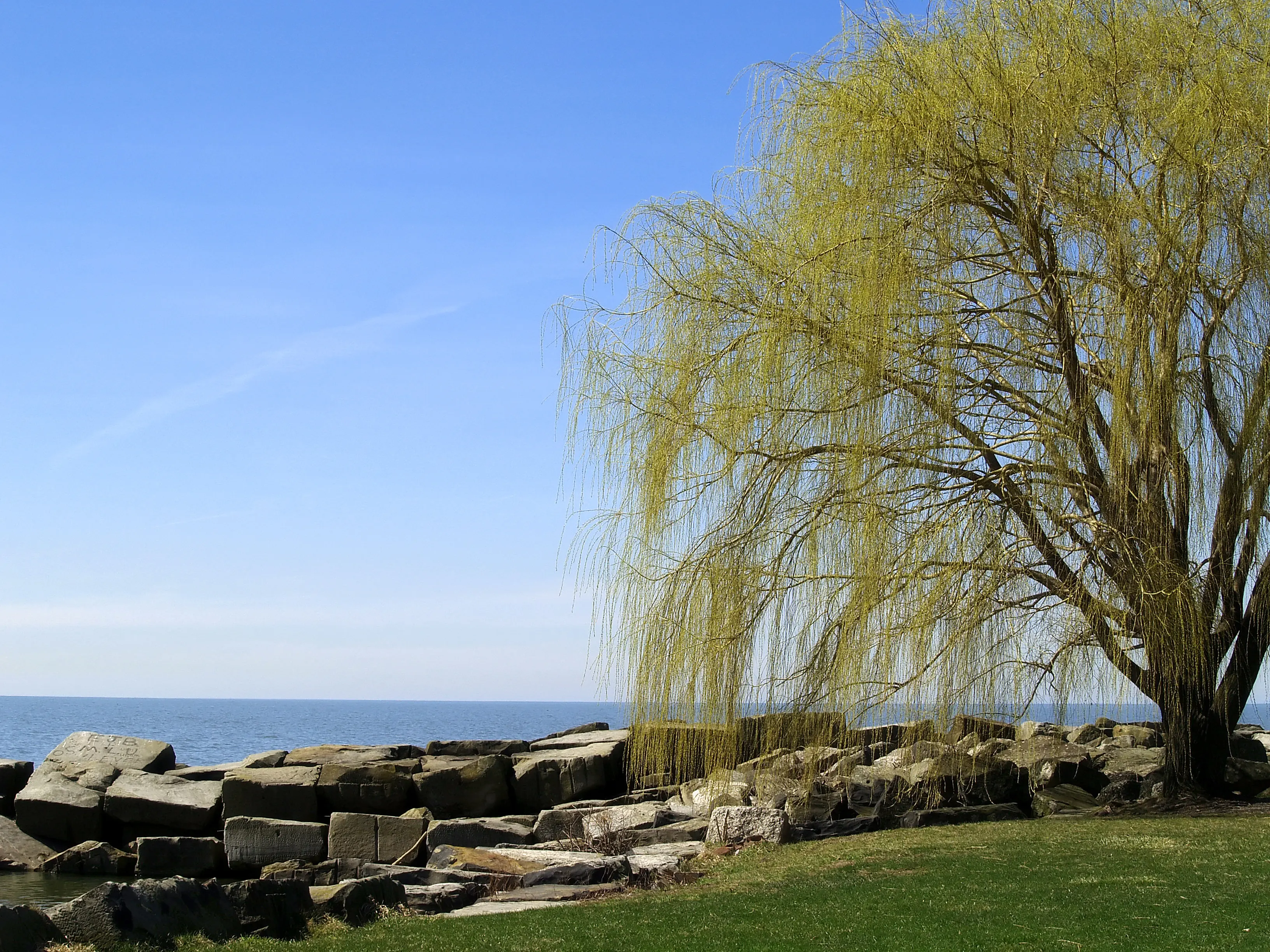 Scenic view of the Lake Erie shoreline during spring.
