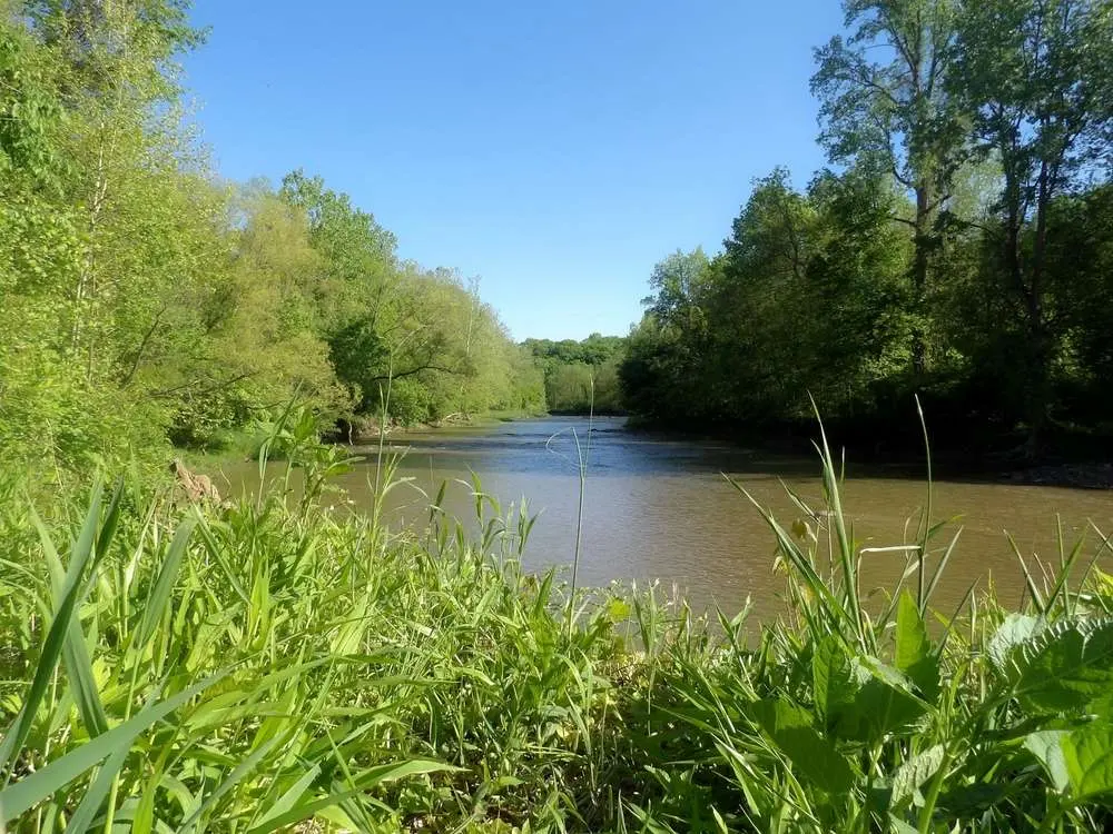 The Vermilion River Reservation in the spring.